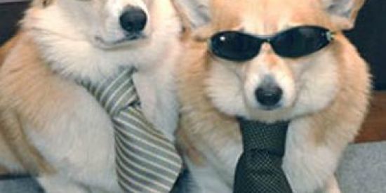 Imagem do grupo de WhatsApp MAFiᗩ ITA︎LiᗩNa