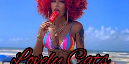 Imagem do grupo de WhatsApp 🌸ʀᴇᴄʀᴜᴛᴀᴍᴇɴᴛᴏ LC's🐱