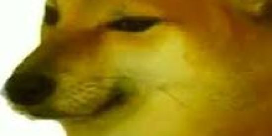 Imagem do grupo de WhatsApp 😎-O PAI TA ON-🤫