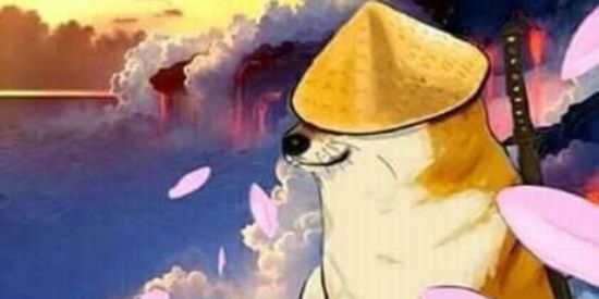 Imagem do grupo de WhatsApp Amiginhos da zuera