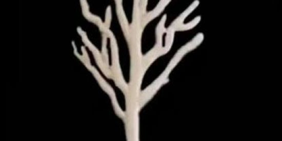 Imagem do grupo de WhatsApp CAÇADORES DE LENDA