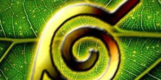 Imagem do grupo de WhatsApp ⚔️|•|RECRUTAMENTO|•|⚔️