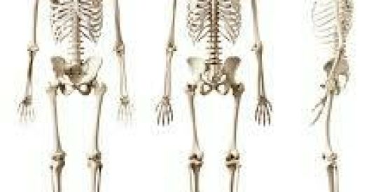 Imagem do grupo de WhatsApp Mundo real👽💀👻