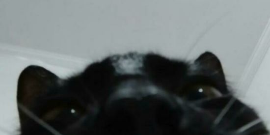 Imagem do grupo de WhatsApp 🔆🌶️FAMMYLI DA LAURENHA🌶️🔆