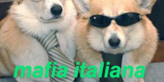 Imagem do grupo de WhatsApp MAFiᗩ IT︎ANA