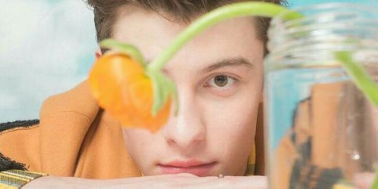 Imagem do grupo de WhatsApp 🇨🇦SHAWN MENDES🇨🇦