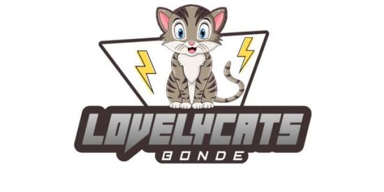 Imagem do grupo de WhatsApp RECRUTAMENTO ♛•ᏞᏟ’ร•♛