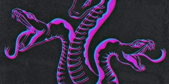 Imagem do grupo de WhatsApp Seguidores no Instagram📸