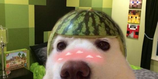 Imagem do grupo de WhatsApp 🇦🇴⃤ShitPost