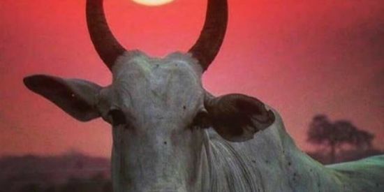 Imagem do grupo de WhatsApp ꧁ ŁØŞ_ǤΔĐØŞ ꧂