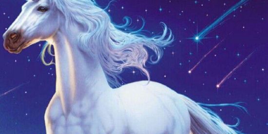 Imagem do grupo de WhatsApp 🦄unicórnios🦄2