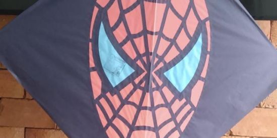 Imagem do grupo de WhatsApp Pipa 🪁Terminal 🪁Cargas 🚚