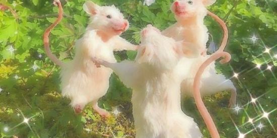 Imagem do grupo de WhatsApp Glowers.am💘