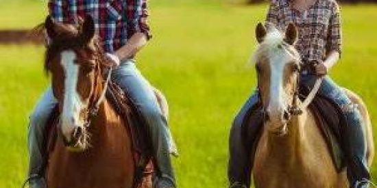 Imagem do grupo de WhatsApp Amantes da vaquejada 👒♦️♥️