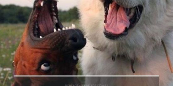 Imagem do grupo de WhatsApp 😈ZUAMOS GERAL😇