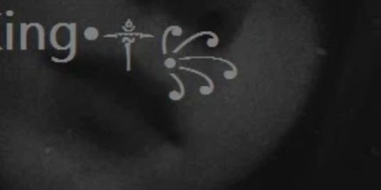 Imagem do grupo de WhatsApp ༒•TheKing•༒