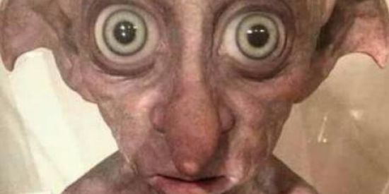 Imagem do grupo de WhatsApp MEC TOMA DA ZUEIRA