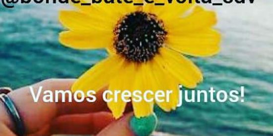 Imagem do grupo de WhatsApp Recepção💯