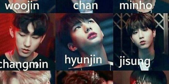 Imagem do grupo de WhatsApp Strays Kids br❤🔥