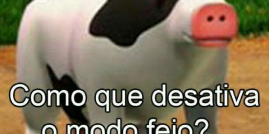 Imagem do grupo de WhatsApp União dos sla