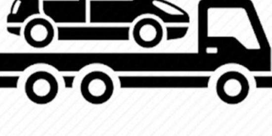 Imagem do grupo de WhatsApp Guincho / Cegonha Brasil