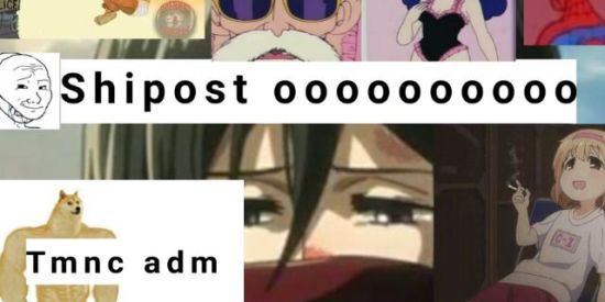 Imagem do grupo de WhatsApp #shipost😡👍🏻