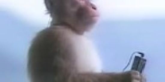 Imagem do grupo de WhatsApp Eu ser shitposter