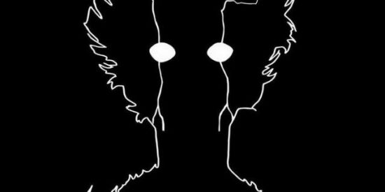 Imagem do grupo de WhatsApp 🇧🇷オタク宇宙🇯🇵