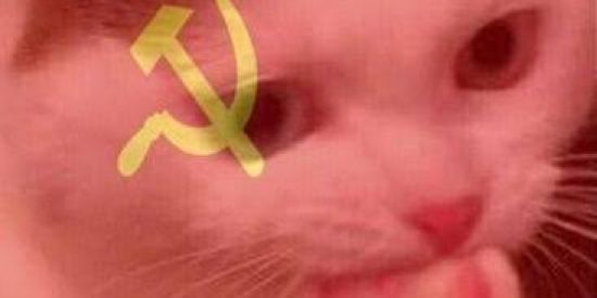 Imagem do grupo de WhatsApp 🤡🔥Shiptposter Agiota🔥🤡