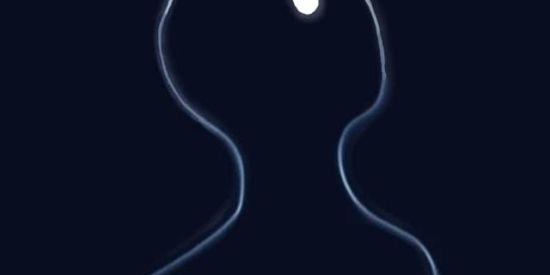 Imagem do grupo de WhatsApp ✨Griza's Server✨