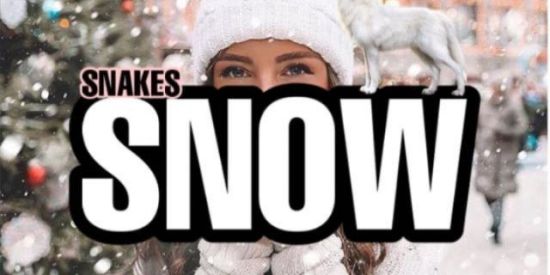 Imagem do grupo de WhatsApp recrutamento ✦ sղk ✦