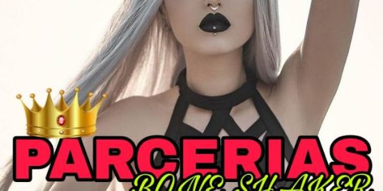 Imagem do grupo de WhatsApp 🛡️PARCERIA 🛡️