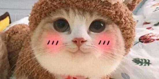 Imagem do grupo de WhatsApp Figurinhɑs 🎡🎉