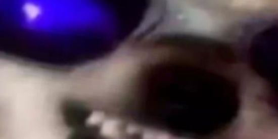 Imagem do grupo de WhatsApp Shitposting