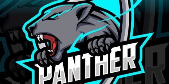 Imagem do grupo de WhatsApp 13•lн'ѕ•🐺|| ᴘᴀɴᴛʜᴇʀ ||🐺