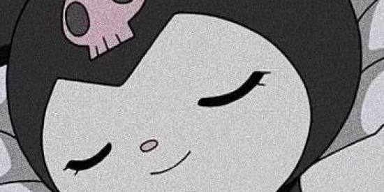 Imagem do grupo de WhatsApp idiots