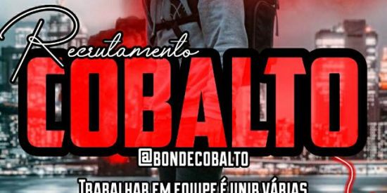 Imagem do grupo de WhatsApp 🦊Recrutamento Cobalto🦊