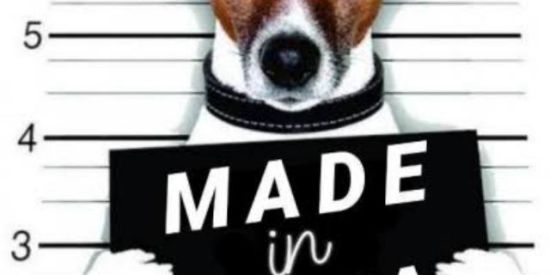 Imagem do grupo de WhatsApp GRUPO MILGRAUUU