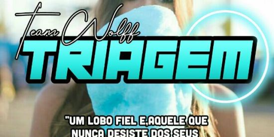 Imagem do grupo de WhatsApp ⚜️ Triagem TWF ⚜️