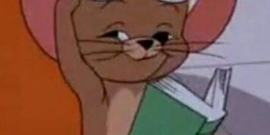 Imagem do grupo de WhatsApp ♦️ALEATORIAMENTE ♦️