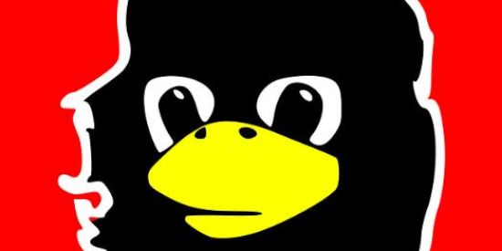 Imagem do grupo de WhatsApp 🐧🇦🇴 Pinguin comunista🇦🇴🐧