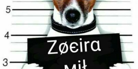 Imagem do grupo de WhatsApp BRIGAS & TRETAS 🔞 😈😈😈