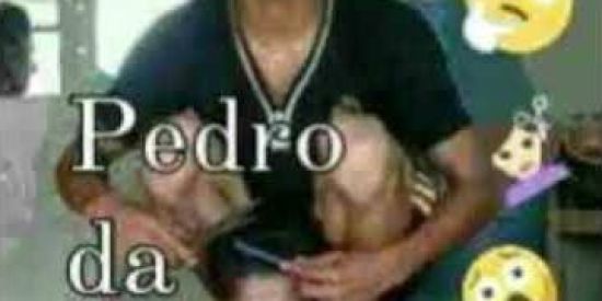 Imagem do grupo de WhatsApp Shitpost Brasil