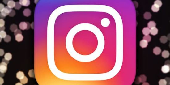 Imagem do grupo de WhatsApp 🐈DIVULGA O INSTAGRAM 1⃣7⃣