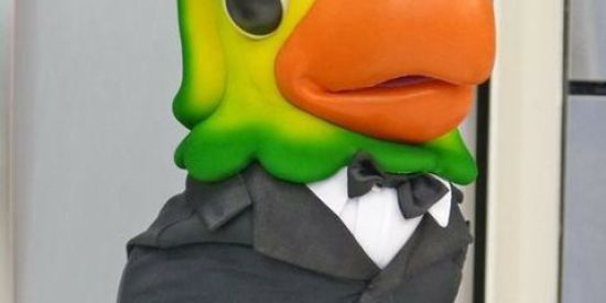 Imagem do grupo de WhatsApp Shitpost pra gordo rir