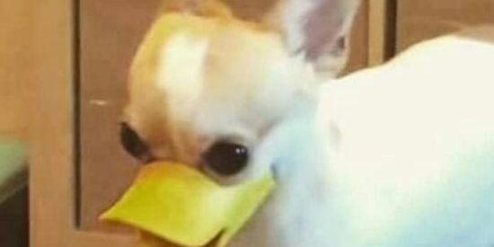 Imagem do grupo de WhatsApp Julio pneus