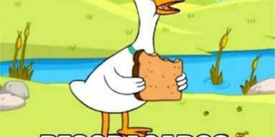 Imagem do grupo de WhatsApp Briguem seus desgraçados