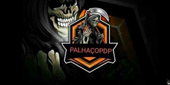 Imagem do grupo de WhatsApp GUILDA PALHAÇOPDP