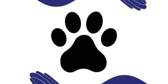 Imagem do grupo de WhatsApp TikTok Animais abandonado