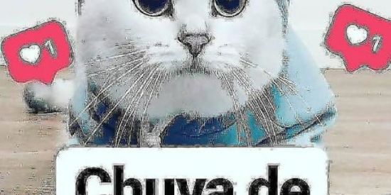 Imagem do grupo de WhatsApp Mutirão Instagram